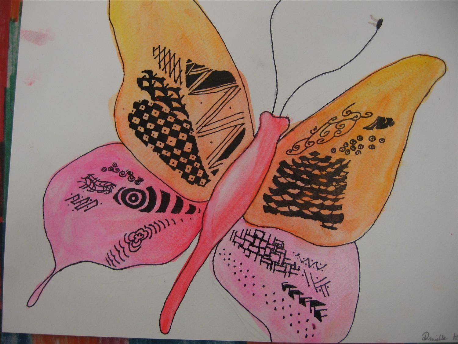 butterfly