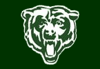 bear bear