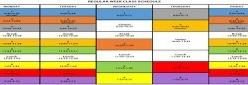 Multicolored table showing the days of the week and the schedule for each day 